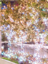 新宿テラスシティ イルミネーション’12-’13